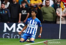 Profil Kaoru Mitoma, pemain Jepun andalan Brighton & Hove Albion