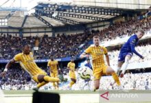 Brighton kembali ke jalur kemenangan pasca tekuk Tottenham 3-2