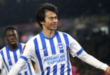 Jack Stern juga Marco Knoop tinggalkan Brighton & Hove Albion