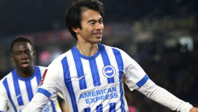 Jack Stern juga Marco Knoop tinggalkan Brighton & Hove Albion