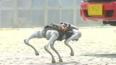 Harga Robot Anjing pada HUT Polri Rp3 Miliar, Xiaomi cuma Jual Rp29 Jutaan