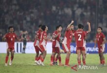 Gerald Vanenburg sambut baik pemanfaatan VAR pada laga final ASEAN U-23