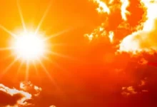 Suhu Panas di area area Prancis Mencapai 80 Status Celcius, Bisa untuk Goreng Telur!