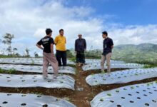 Terapkan Teknologi Smart Farming kemudian Jaringan Dunia Maya of Things (IoT) untuk Dongkrak Produktivitas Petani
