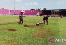 Manajemen Persik: Perbaikan Stadion Brawijaya fokus top dress rumput