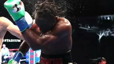Canelo Hajar Lengan kemudian juga Tubuh Terence Crawford hingga Kelelahan