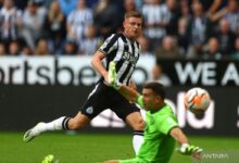 Dwigol Barnes antarkan Newcastle hajar Manchaster City, 2-1