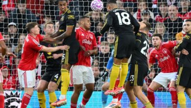 Hal ini makna lambang bunga merah “Poppy” ke jersey klub liga Inggris