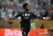 Xabi Alonso bantah ada konflik antara dirinya dengan Vinicius